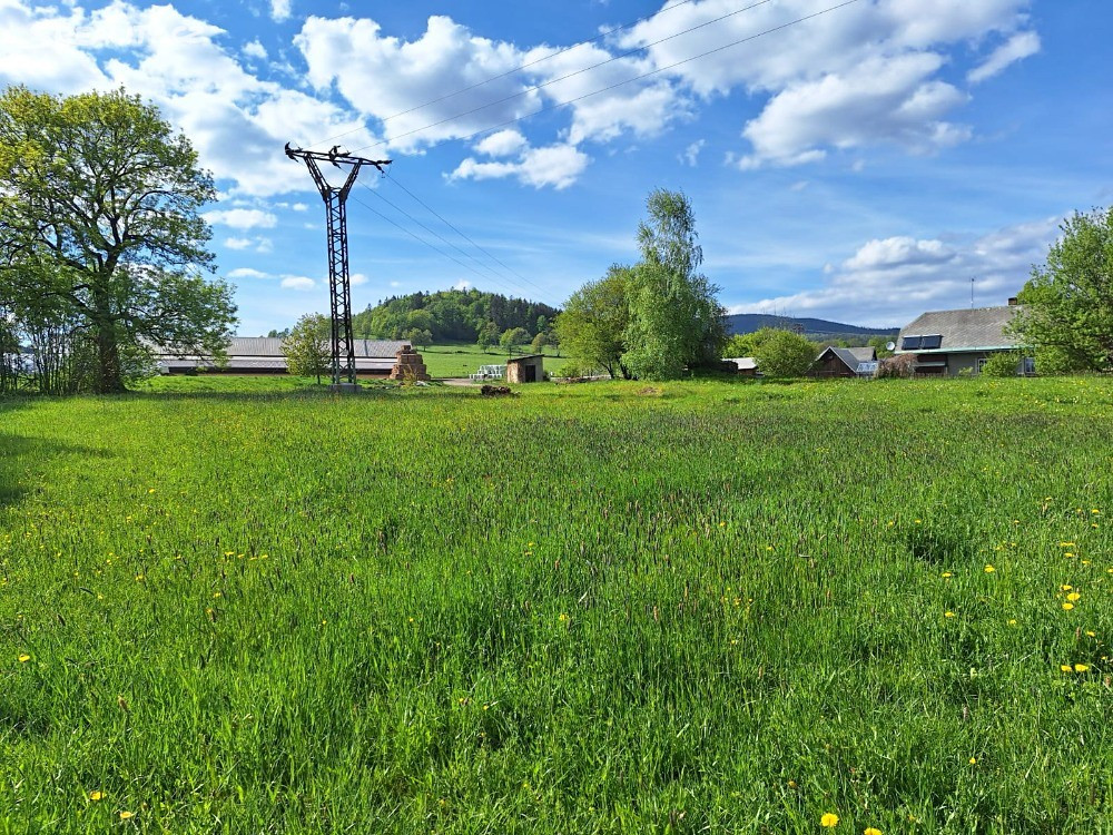 property-4