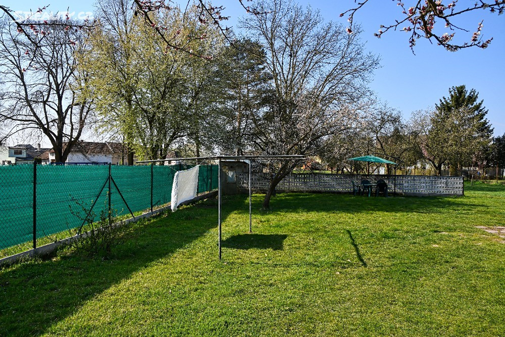 property-4